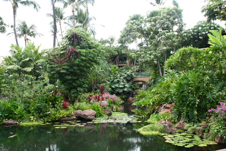 Lush grounds