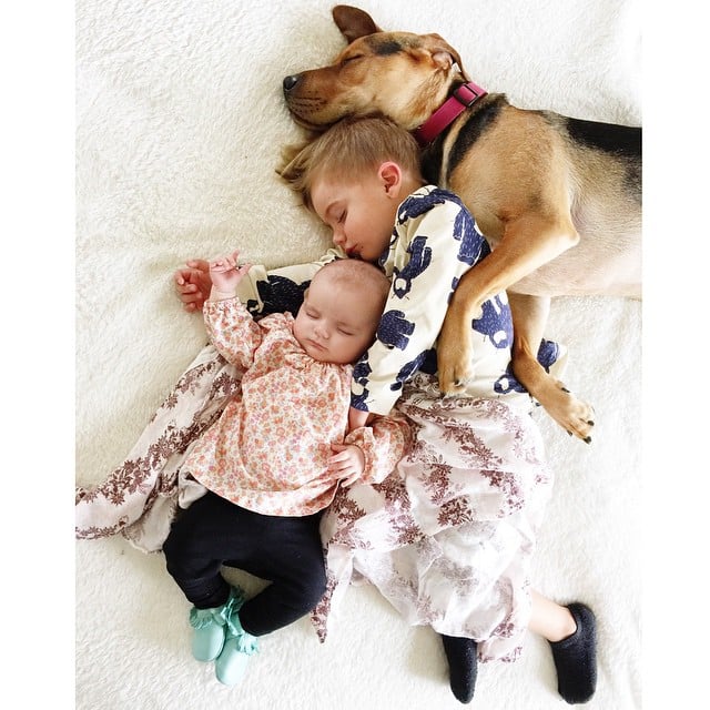 Adorable Pictures of Babies and Dogs