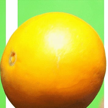 3D GIFs