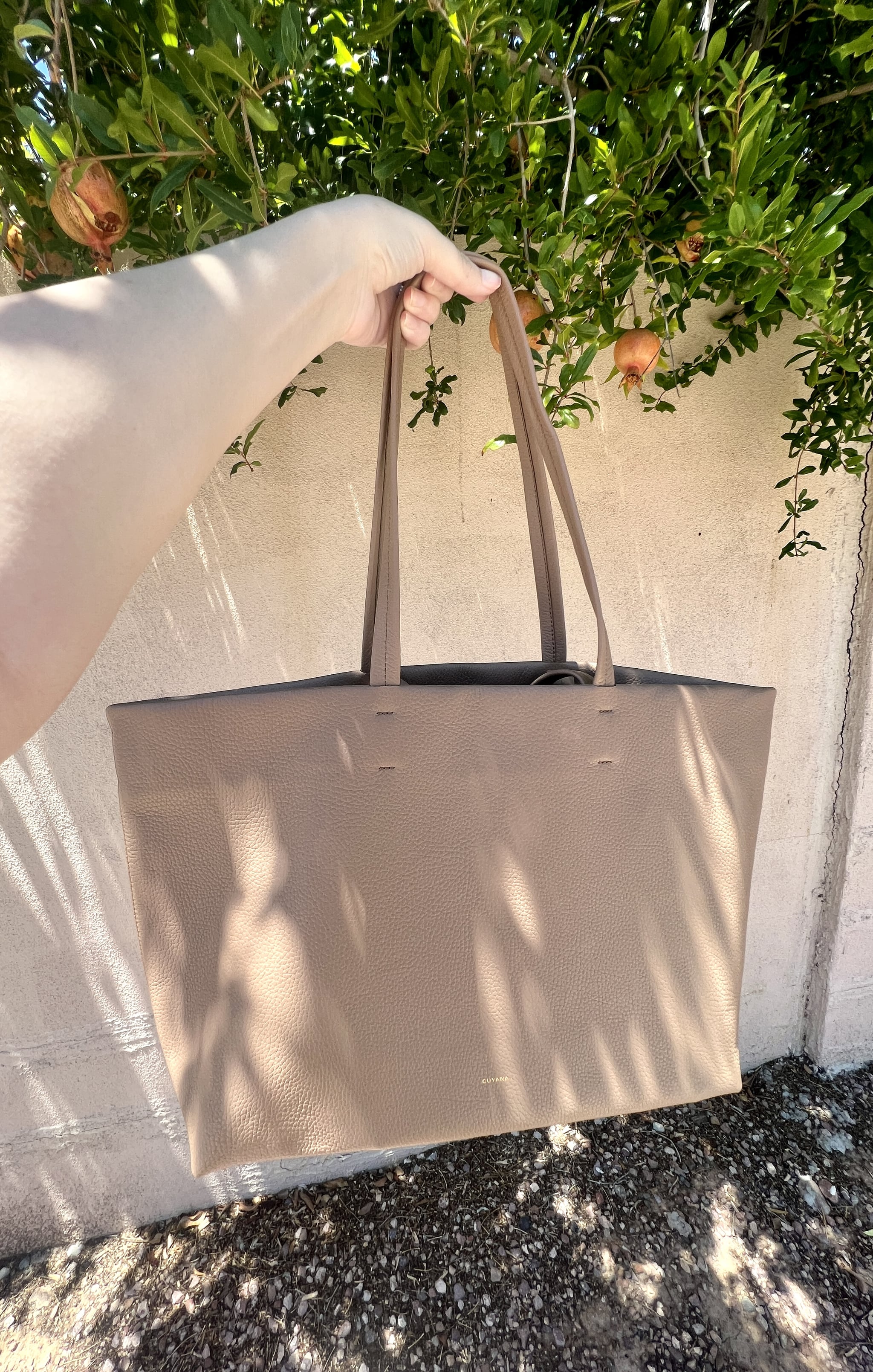 Cuyana Easy Tote Editor Review