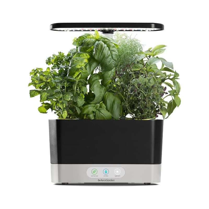 For the Green Thumb: AeroGarden Harvest With Gourmet Herb Seed Pod Kit