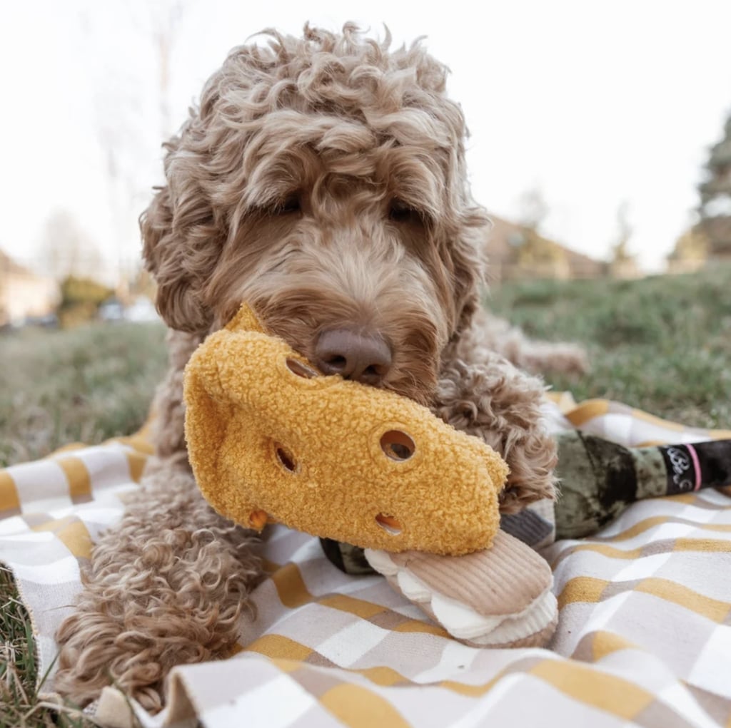 Found My Animal Fromage Enrichment Dog Snuffle Toy ($18)
This isn't your average dog toy — in fact, it's way more thoughtful. Not only will the cheese-shaped plushie provide hours of endless entertainment for their pup, but they can hide treats inside that their fur baby can discover.