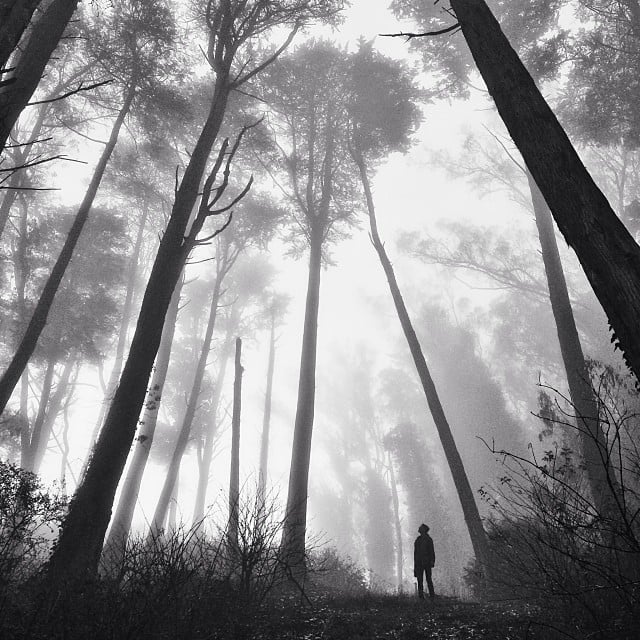 Unusual Perspective | Photo Challenge 2014 | POPSUGAR Tech Photo 10