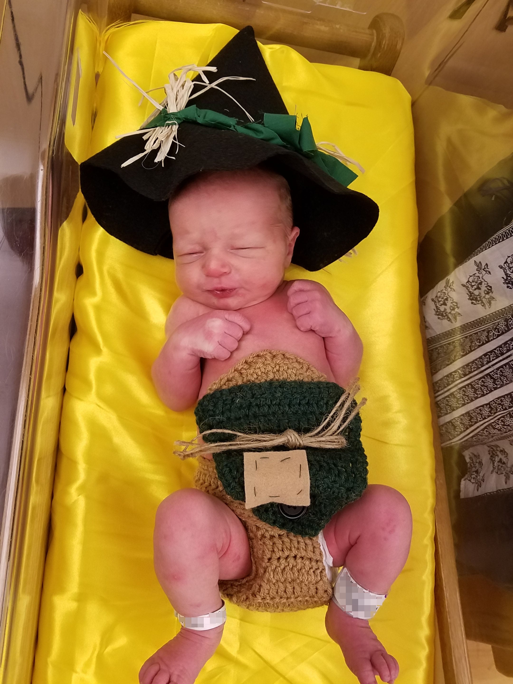 Newborn wizard of cheap oz costumes