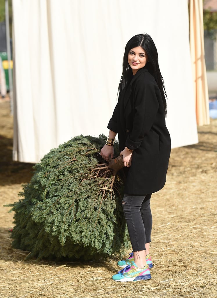 Pick out your favorite tree.