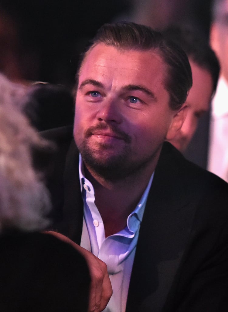 Pictured: Leonardo DiCaprio