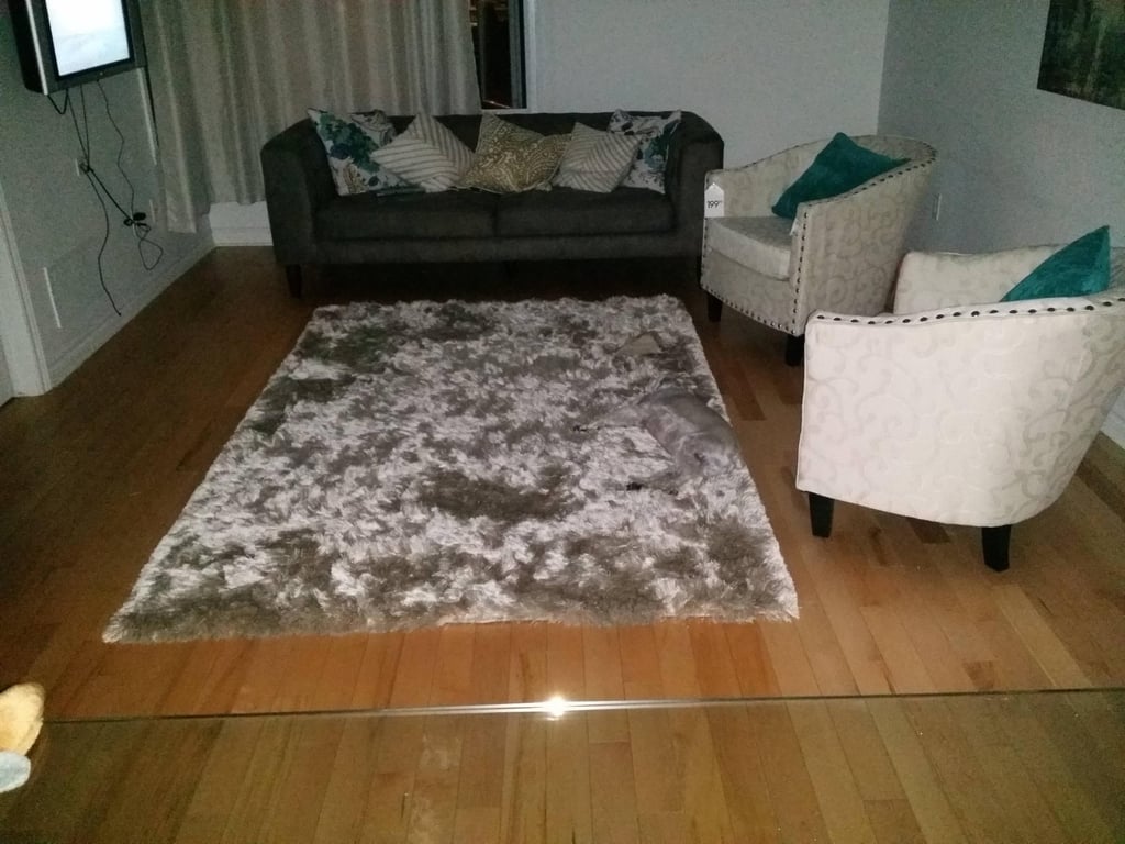 Dog on Reddit Blends In With Rug POPSUGAR Pets
