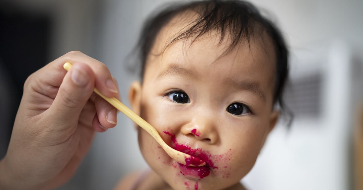 Best Baby Food Makers 2023 POPSUGAR UK Parenting