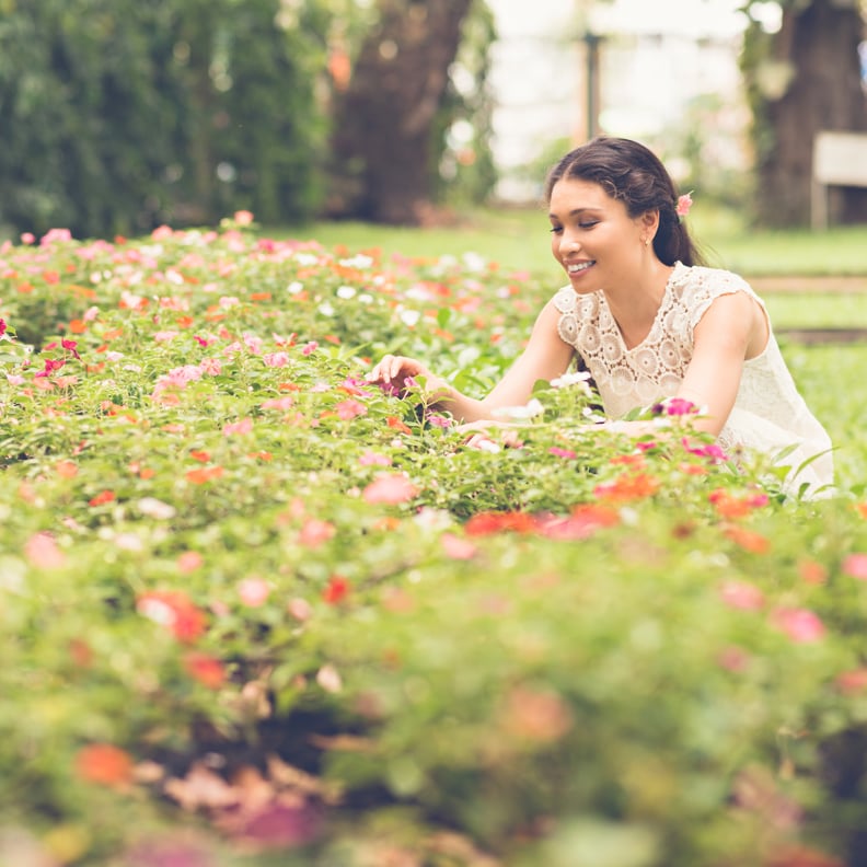 Pick Your Own Flowers