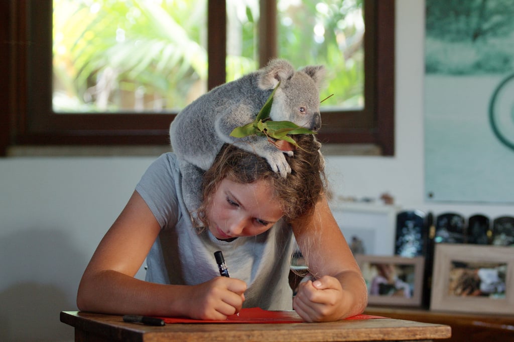 Izzy Bee's Koala World Shows the importance of being passionate.