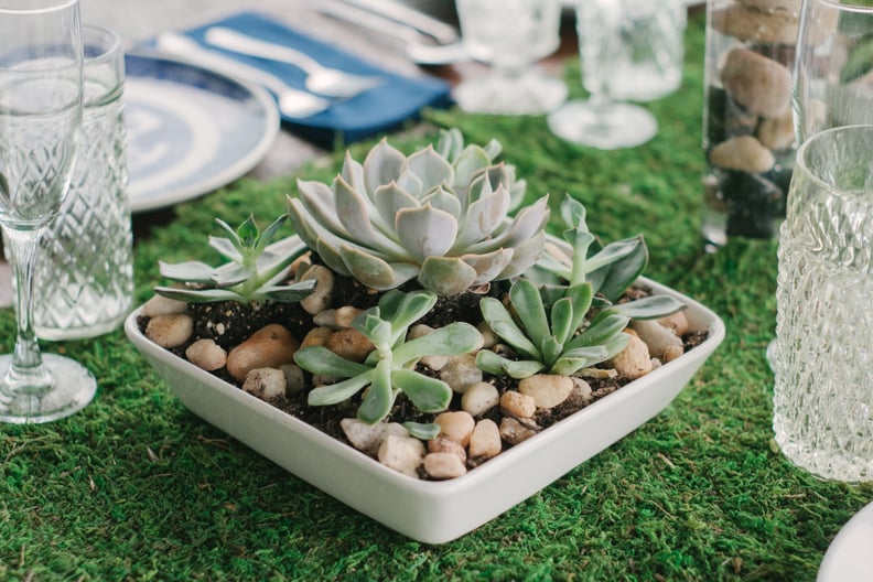 Succulent Garden Centerpieces