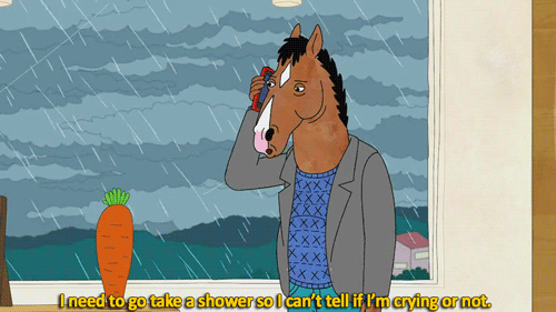 If You Like BoJack Horseman . . .