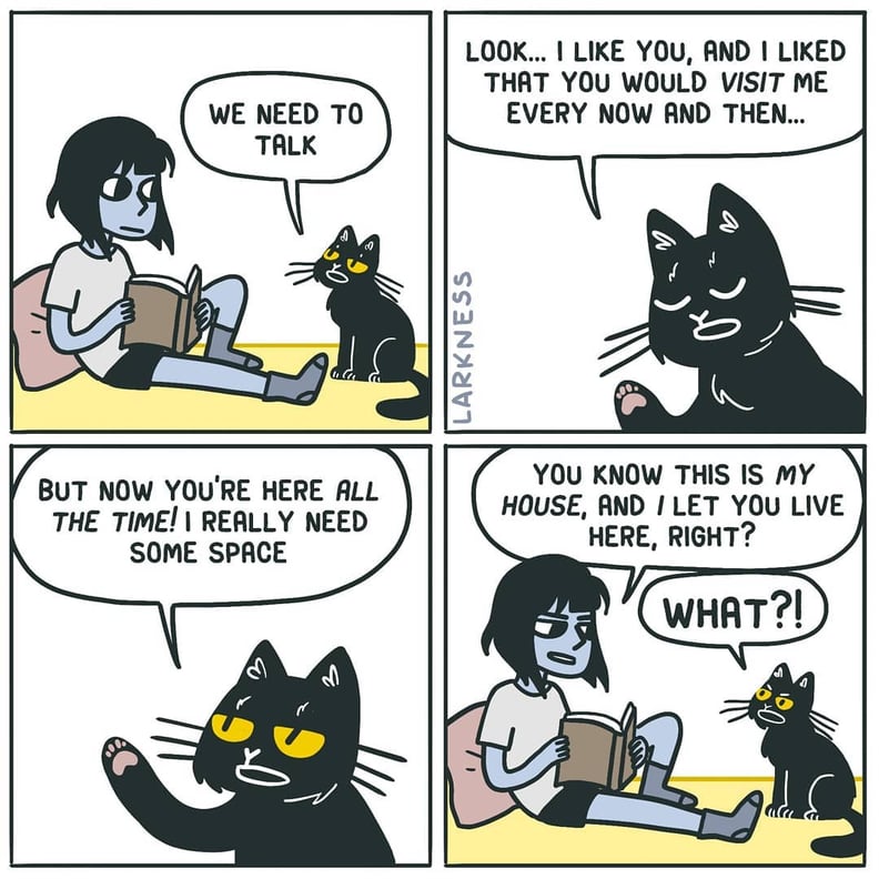 Illustrator's Funny Comics About What It's Like Owning a Cat | POPSUGAR ...
