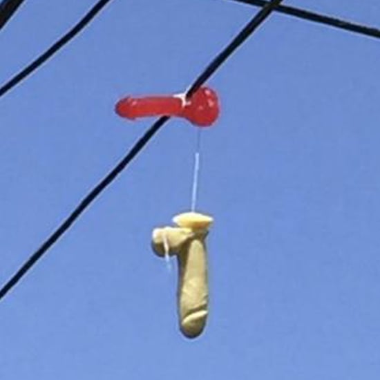 Sex Toys Dangling From Power Lines in Portland