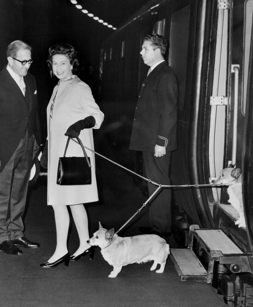 Why Did Queen Elizabeth Have So Many Corgis?