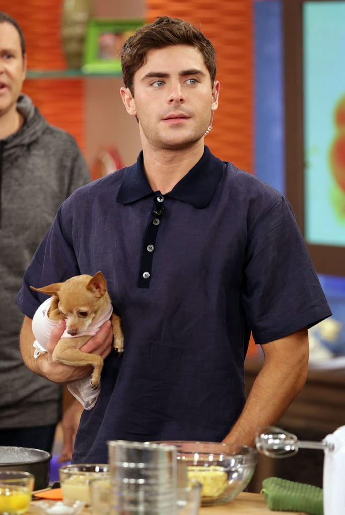 Zac Efron With a Tiny Dog on Despierta America