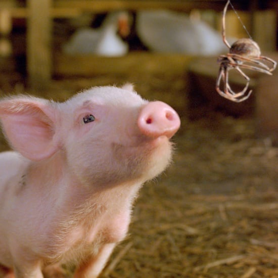 EB White Maine Farm For Sale With Charlotte's Web Barn