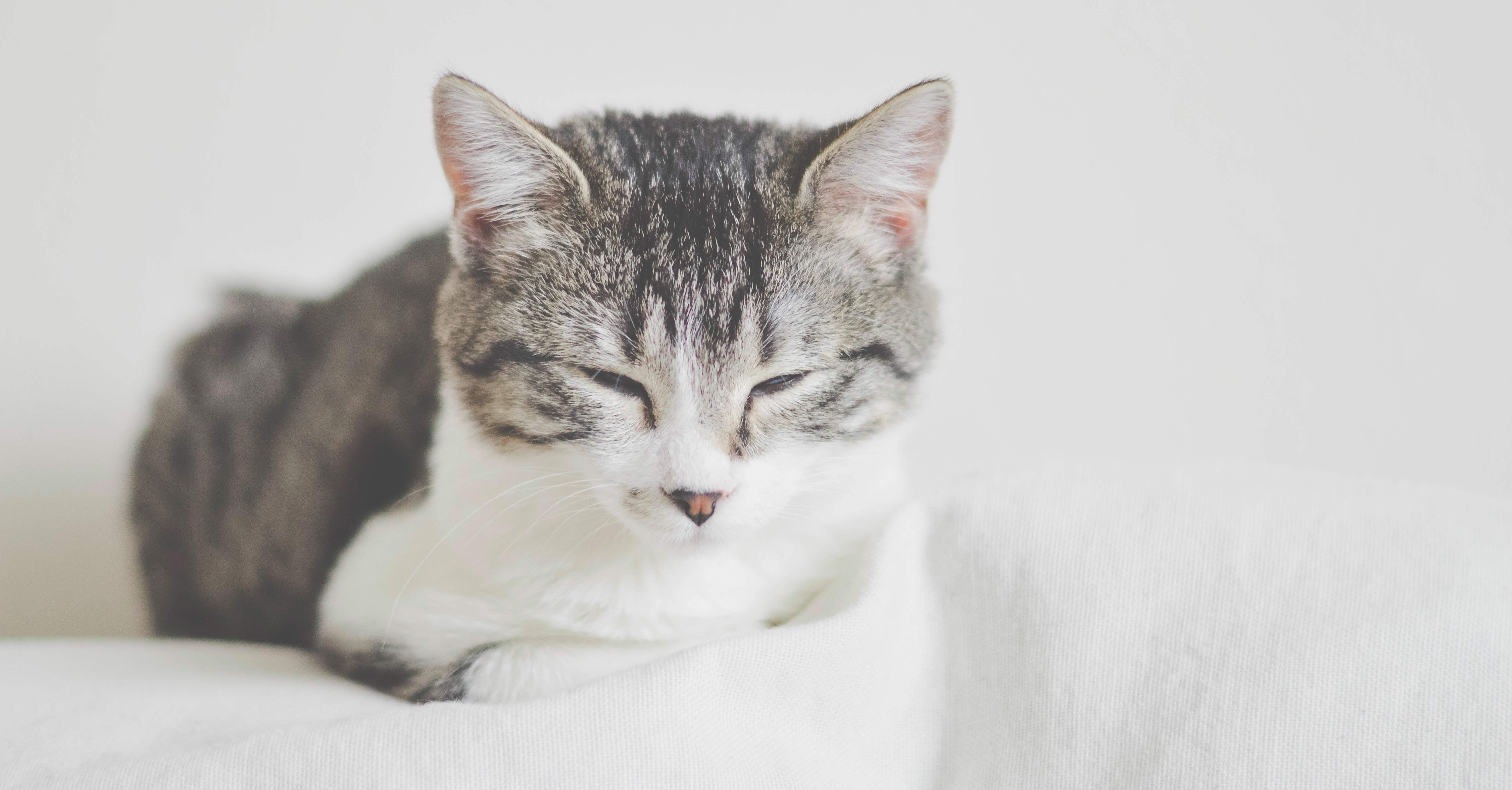 What Is Microsleeping? | POPSUGAR Smart Living