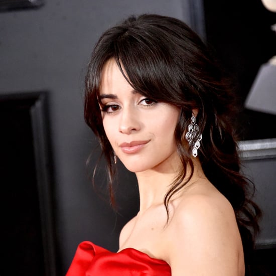 What Is Camila Cabello's Made in Miami Documentary About?