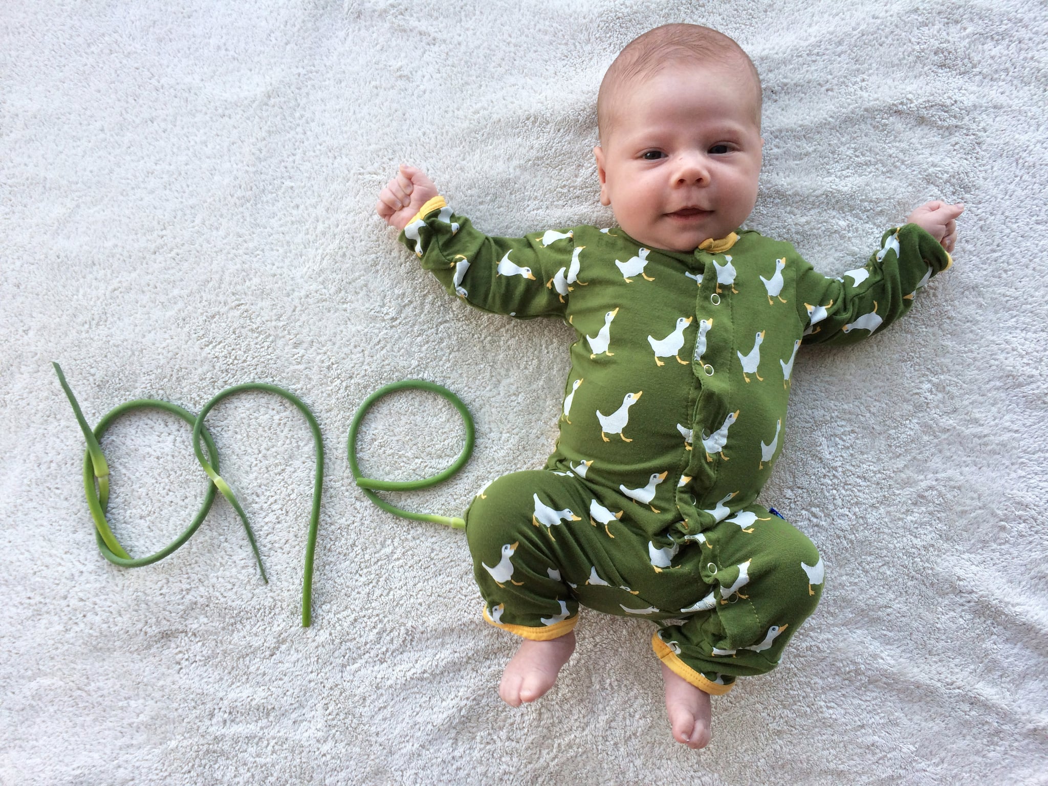 Baby S Monthly Veggie Photo Series Popsugar Family