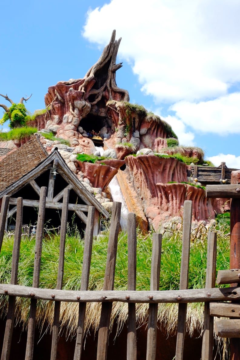 Splash Mountain, Disneyland