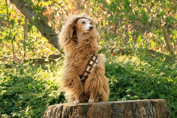 ChewBarka Wookie costume