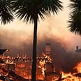 Los Angeles Is My Home — and My Memories Are on Fire