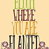 I'm loving the tall letters and cute flowers on this Bloom Where You Are Planted ($21) print.