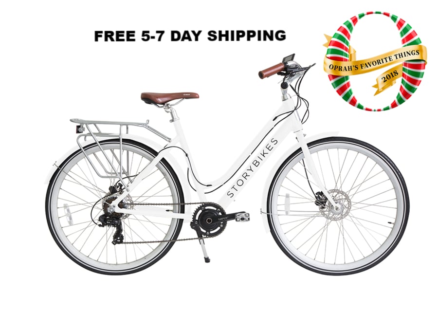 Story Electric Bike