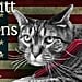 Limberbutt McCubbins, the Cat Running For President