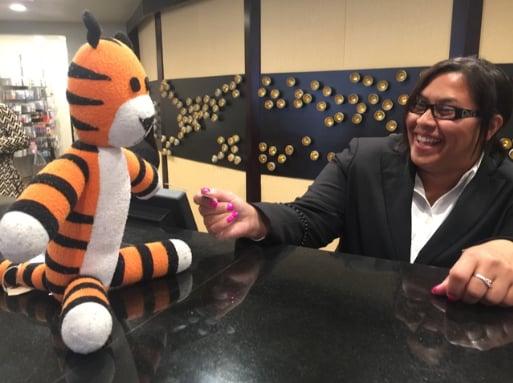 Boy Leaves His Tiger in an Airport and It Goes on Adventure