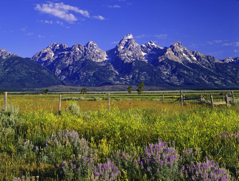 Jackson Hole, WY