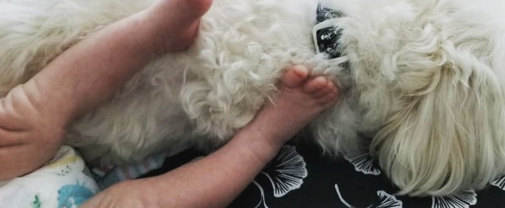 Danielle Fishel's Post About Having a Newborn