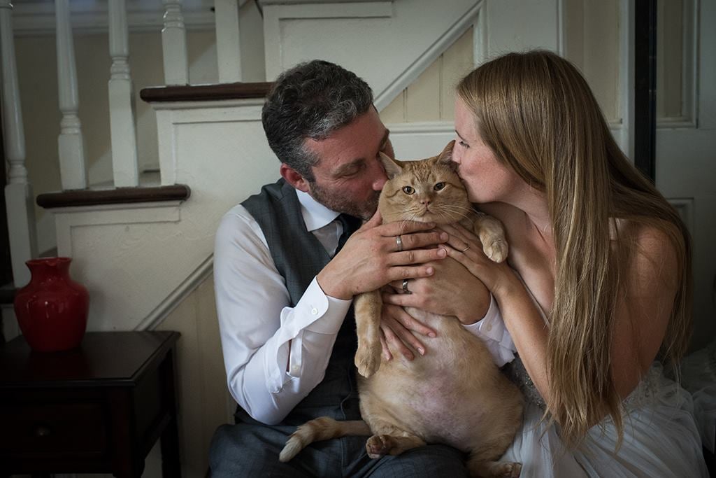 Couple's Large Cat in Wedding Photos