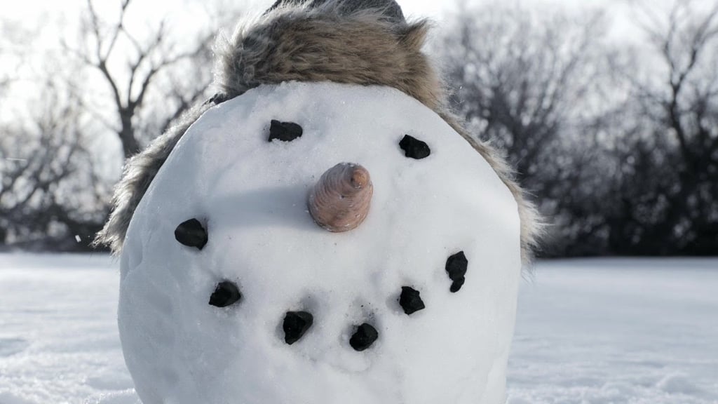 "Snow Dude"