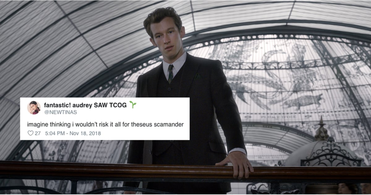 Tweets About Theseus Scamander in Fantastic Beasts 2 POPSUGAR