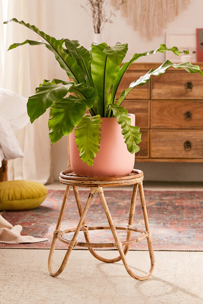 Urban Outfitters Skye Rattan Stool