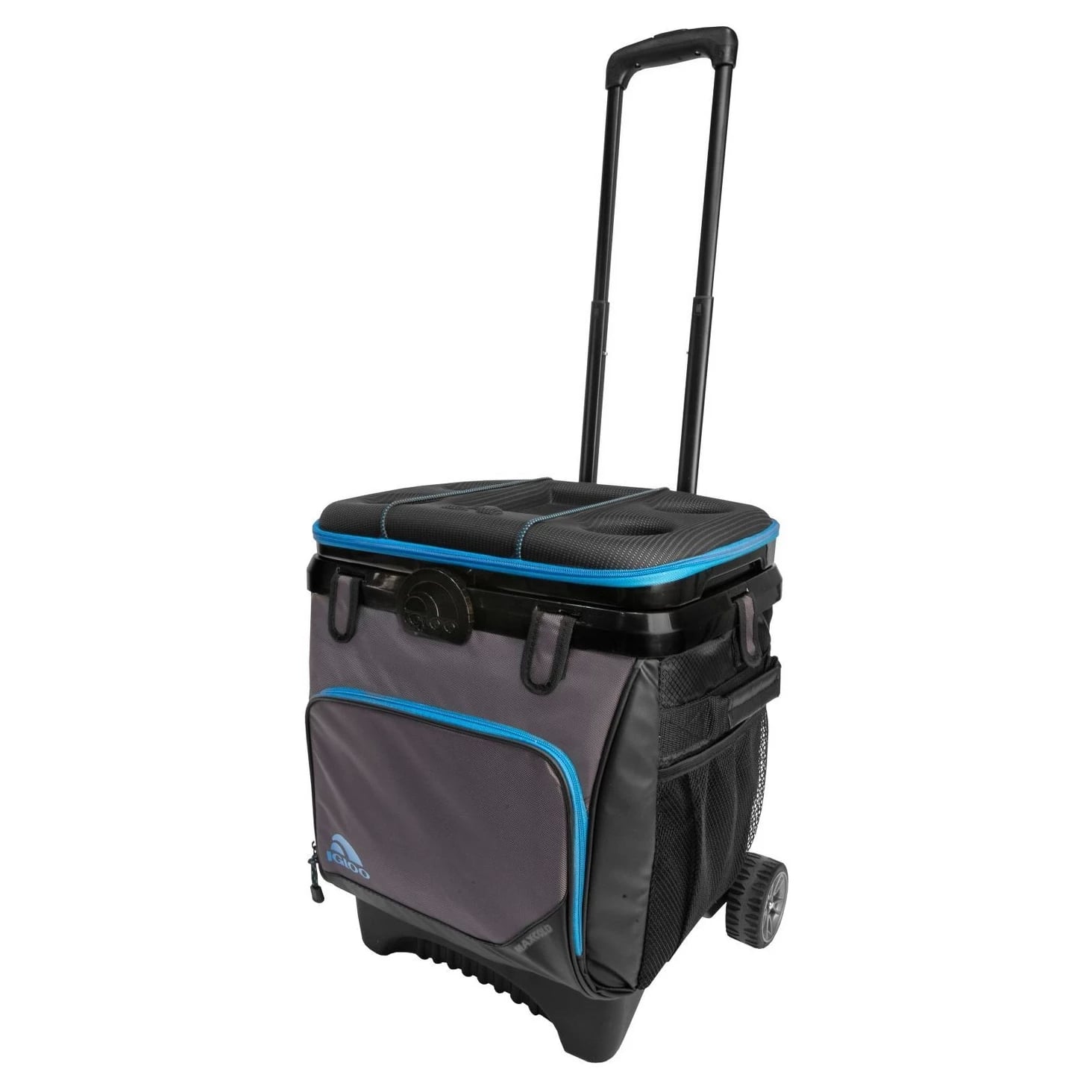 igloo maxcold cool fusion 36 can cooler