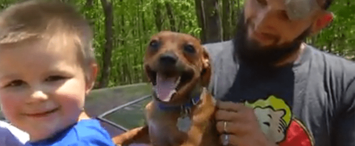 Dog Stays With Boy Lost in the Woods