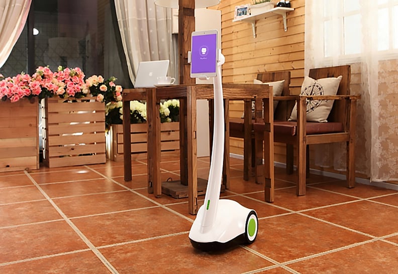 Home and Pet Surveillance Robot​