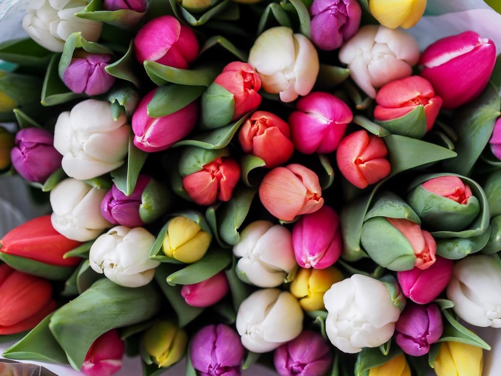 Spring Desktop Wallpapers: Colorful Tulips
