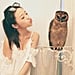 Owl Cafe Japan