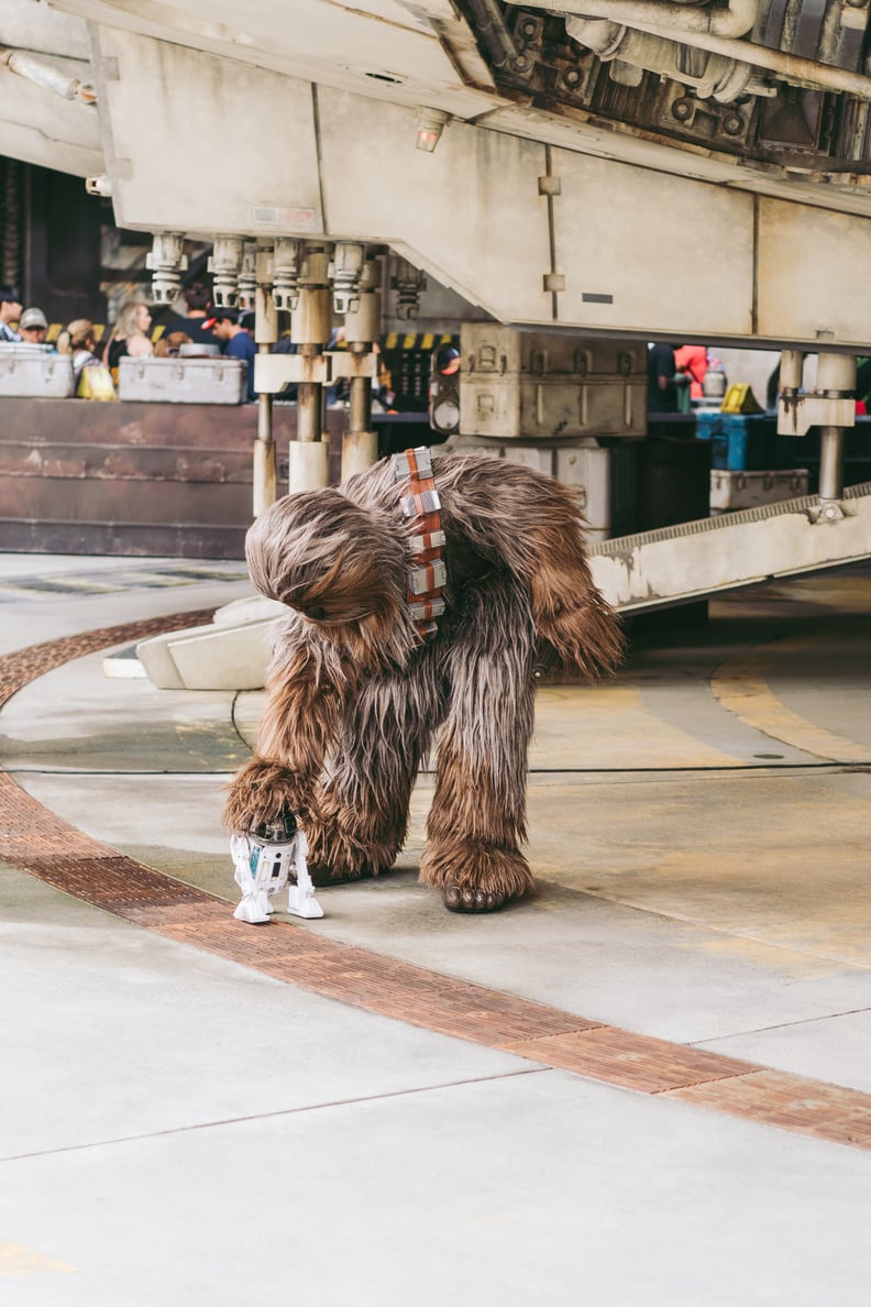 Disney iPhone Wallpaper: Chewbacca & R2D2