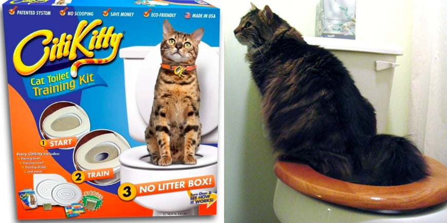 CitiKitty Cat Toilet Training Kit From Shark Tank PS Pets