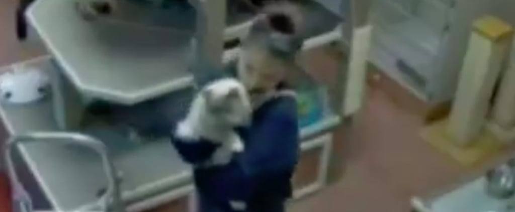 Pet Daycare Employee Dancing With Cat on Camera