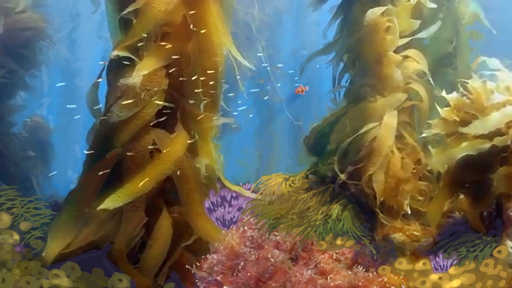 Nemo or Marlin?