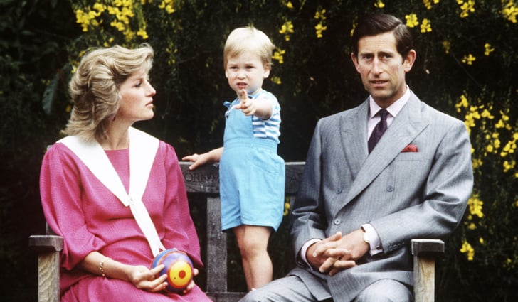 Princess Diana Taking Photos With Her Kids Popsugar Family