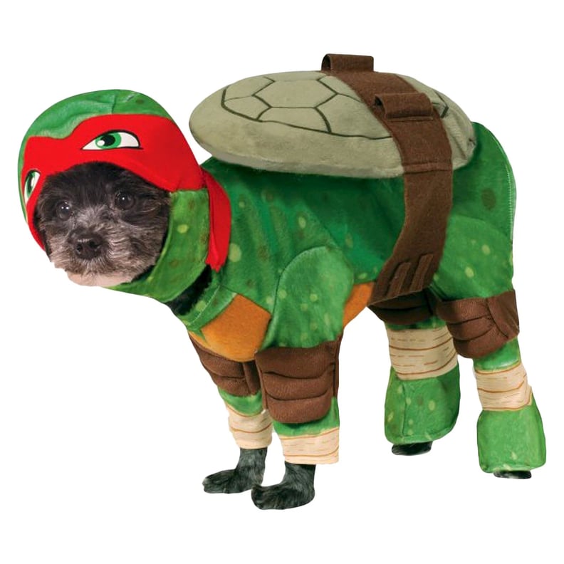 Teenage Mutant Ninja Turtles Raphael Dog Costume