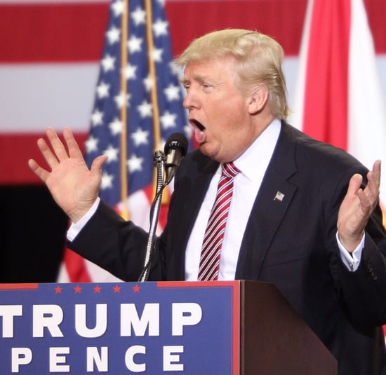Donald Trump Comments on African Americans