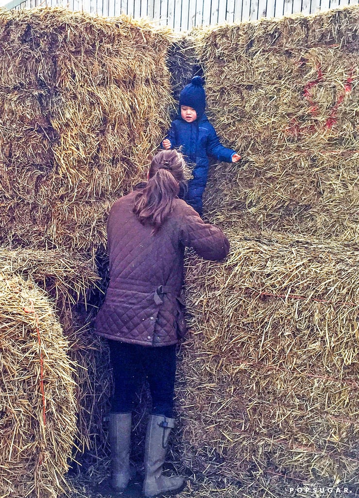 Kate Middleton and Prince George at the Petting Zoo Pictures